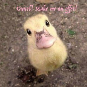 Posh offers! Make him smile!!